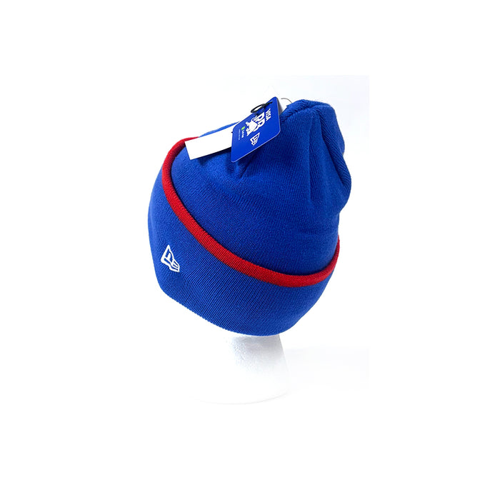 Visa Cash App Team Beanie Blue