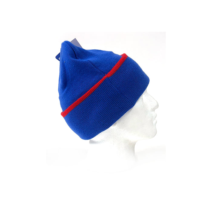 Visa Cash App Team Beanie Blue