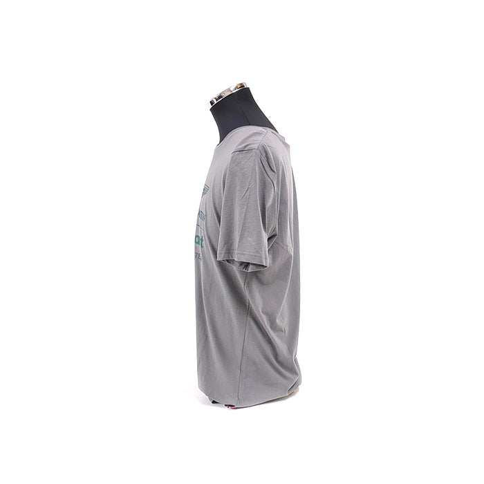 Aston Martin F1 Logo Tee Grey