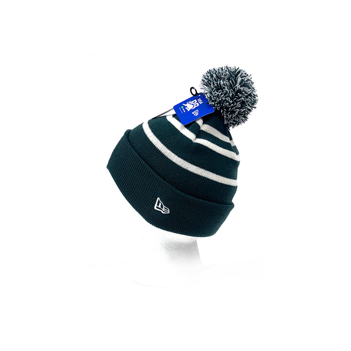 Visa Cash App 2025 Team Beanie Green VCARB