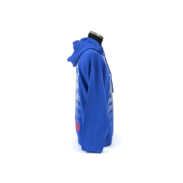 Visa Cash App Blue Fan Hoodie