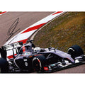 Giedo van der Garde Signed photograph MEM1052