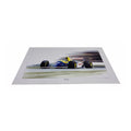 Wayne Vickery - Damon Hill Williams FW15C