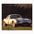 Jaguar Sports Racing Cars Book