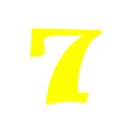 High Vis Yellow Race Numbers V2