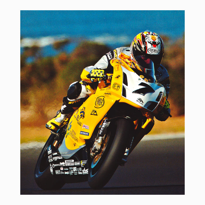 Superbike World Championship 2004 - Book