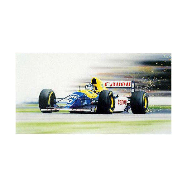 Wayne Vickery - Damon Hill Williams FW15C